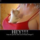 How Do You