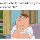 How Does The The Human Brain Do It