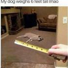 How High Are You