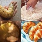 How Its Made
