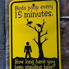 How Long