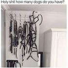 How Many Dogs