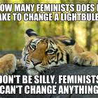 How Many Feminists