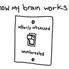 How My Brain Works
