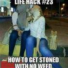 How To Get Stoned
