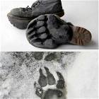 How To Scare Your Neighbors