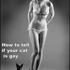 How To Tell
