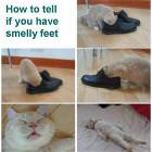 How To Tell