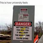 How University Feels