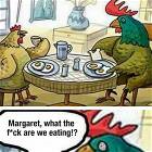 How Was Your Day Honey
