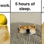 How We Roll