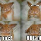 Hug Me Now