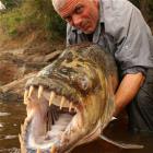 Huge Demon Fish