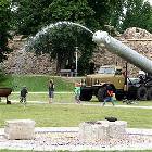 Huge Penis Hose