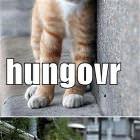 Hungovr