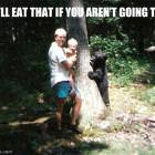Hungry Bear
