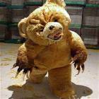 Hungry Bear