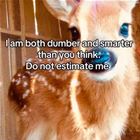 I Am
