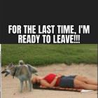 I Am Ready To Leave