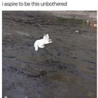 I Aspire