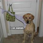 I Can Explain