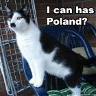 I Can Has Poland