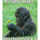 I Could Do That