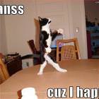 I Danss