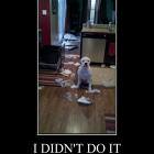 I Didnt Do It