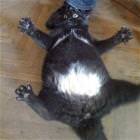 I Dont Like Being Touched