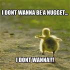 I Dont Wanna