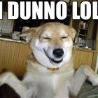I Dunno Pup