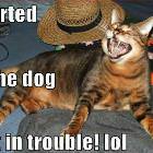 I Farted Lolcat