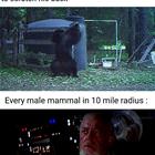 I Felt It