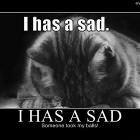 I Has A Sad