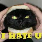 I Hate You