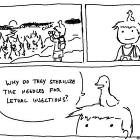 I Have Always Wondered