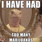 I Have Had Too Many