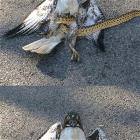 I Have Made A Mistake