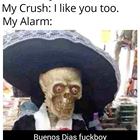 I Like You
