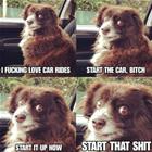 I Love Car Rides