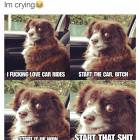 I Love Car Rides