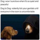 I Love How Quiet It Is