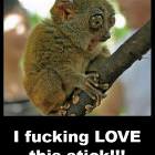I Love This Stick