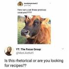 I Personally Like Using A Grill