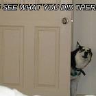 I Saw That