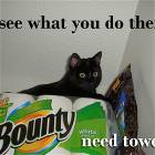 I See What You Did