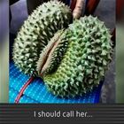 I Should Call