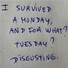 I Survived