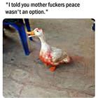 I Told You